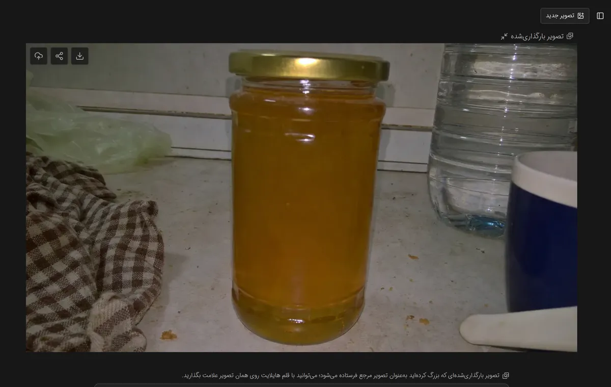 تصویر بارگذاریشده پس از بزرگنمایی در بخش تصویرهای استودیوی نگارسا، آمادهی علامتگذاری، با دکمهی تصویر جدید بالای آن
